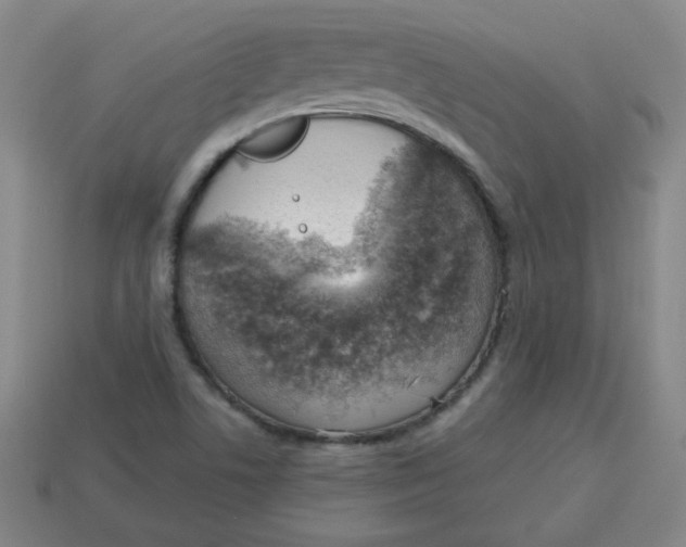 X0000113741506200910140952