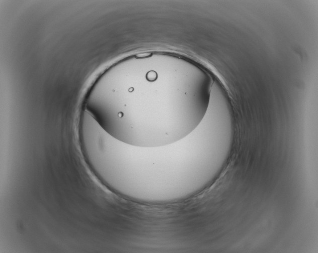 X0000113741508200910140952