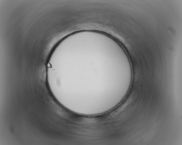 X0000113741509200910140952