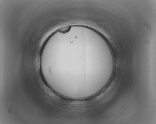 X0000113741510200910140952