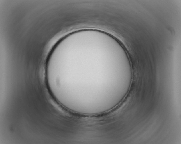 X0000113741511200910140952