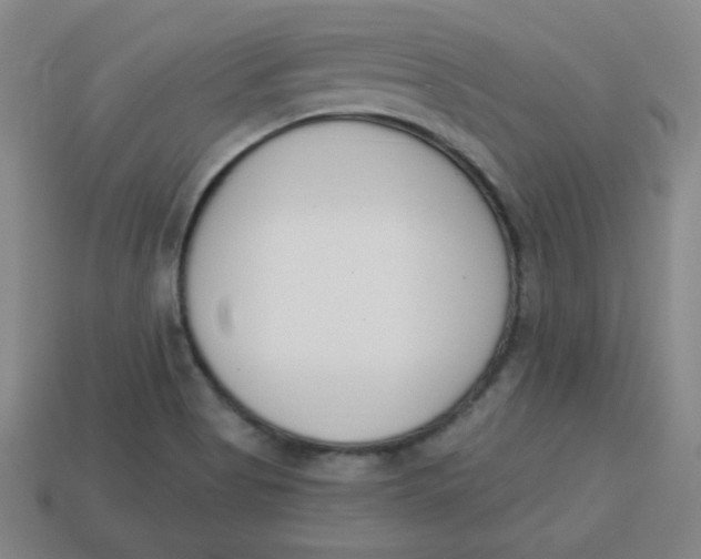 X0000113741513200910140952