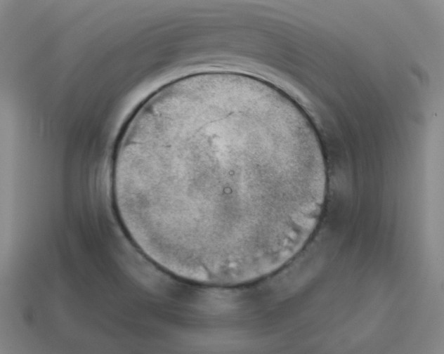 X0000113741514200910140952