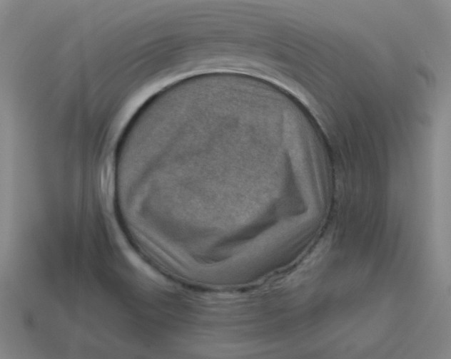 X0000113741515200910140952