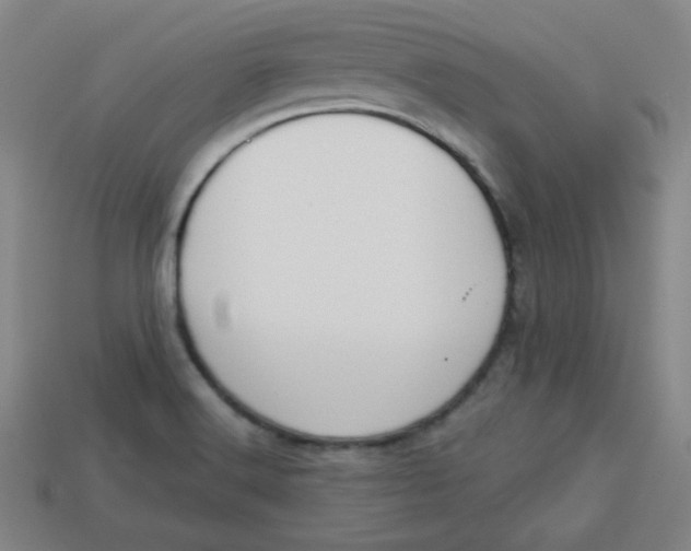 X0000113741516200910140952