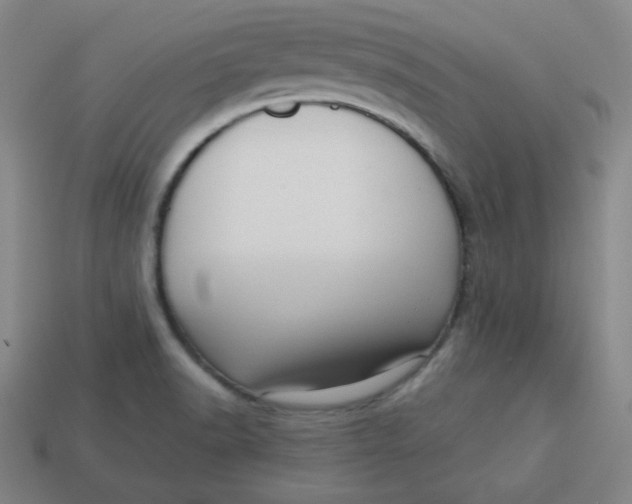 X0000113741518200910140952