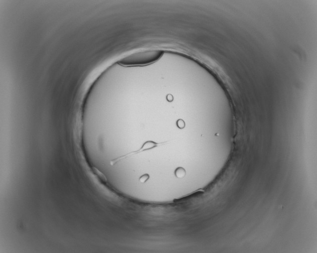 X0000113741520200910140952