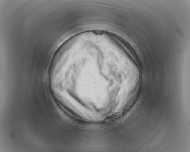 X0000113741521200910140952