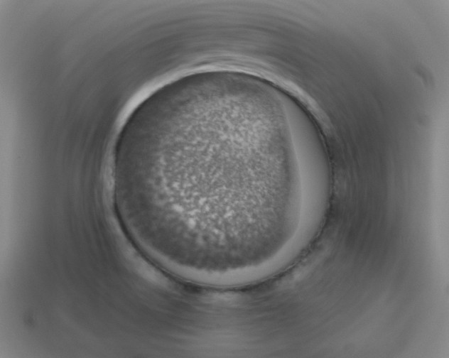 X0000113741522200910140952