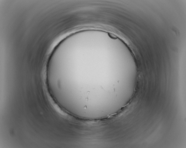 X0000113741523200910140952