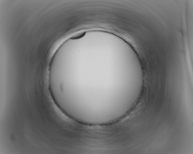 X0000113741524200910140952