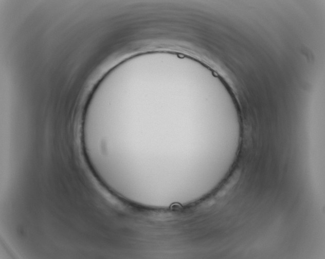 X0000113741525200910140952