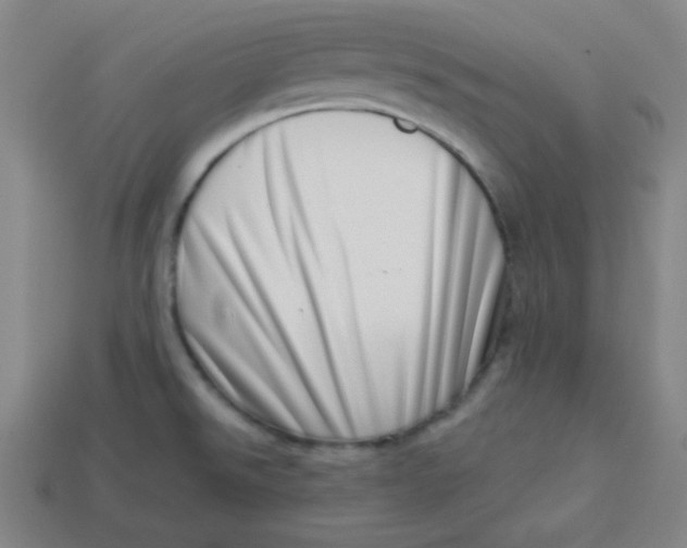 X0000113741526200910140952