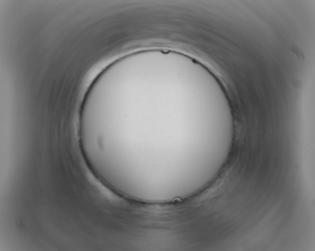 X0000113741527200910140952