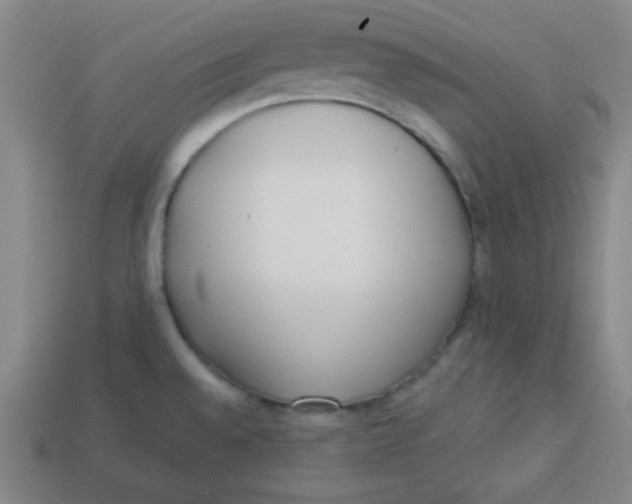 X0000113741528200910140952