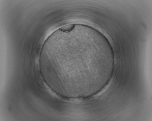 X0000113741529200910140952