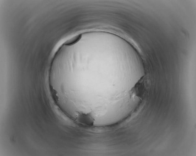 X0000113741530200910140952