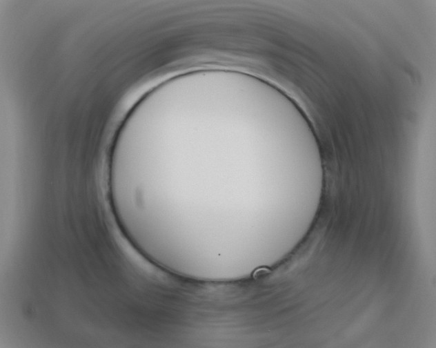 X0000113741531200910140952