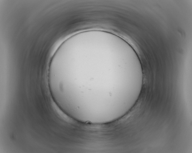 X0000113741532200910140953