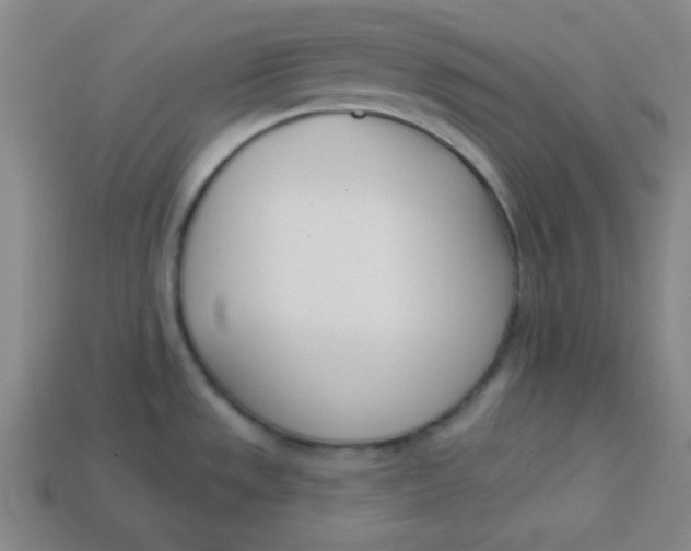 X0000113741533200910140953