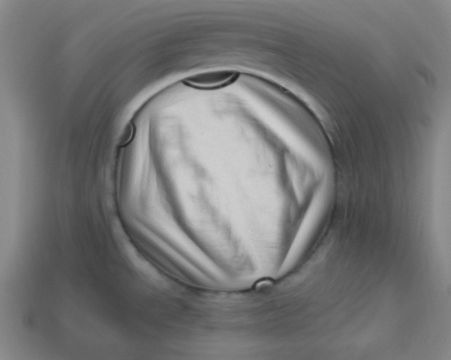 X0000113741534200910140953