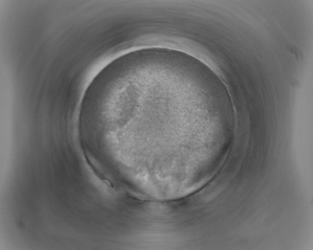 X0000113741536200910140953