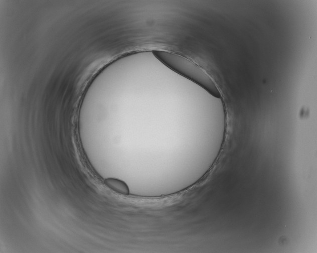 X0000113740001200910211135
