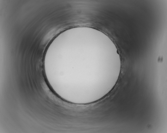 X0000113740002200910211135