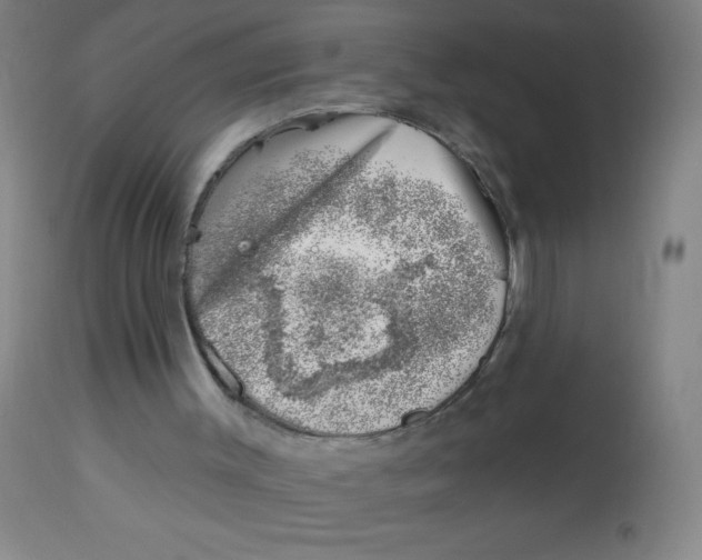 X0000113740003200910211135