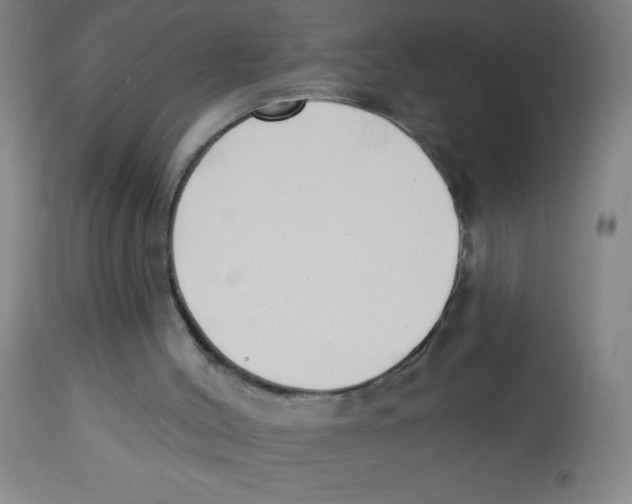 X0000113740004200910211135