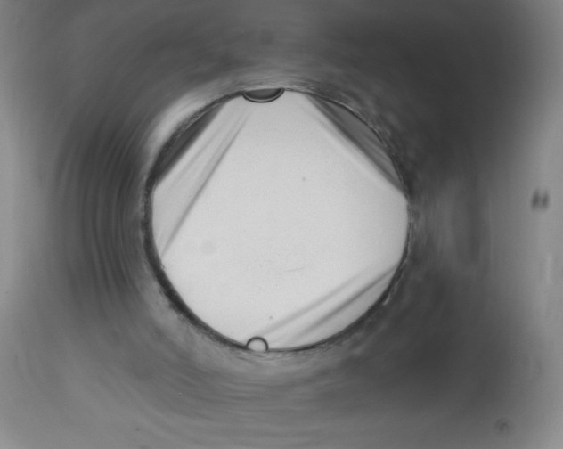 X0000113740006200910211135