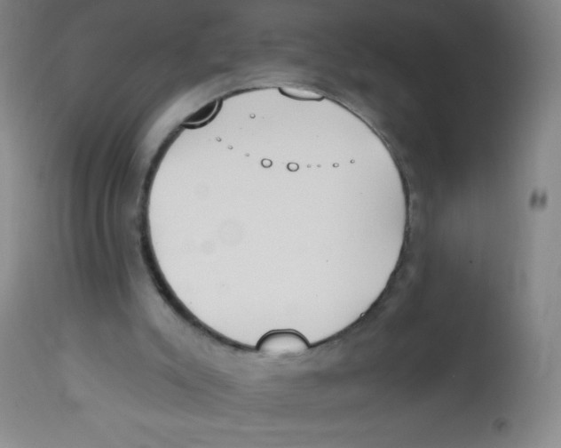 X0000113740007200910211135