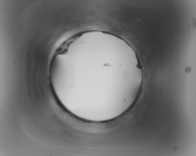 X0000113740008200910211135