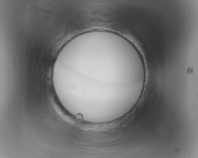 X0000113740009200910211135