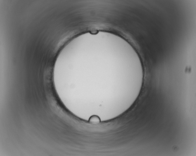 X0000113740010200910211135