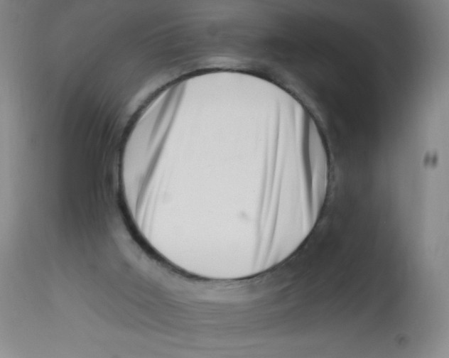 X0000113740011200910211135