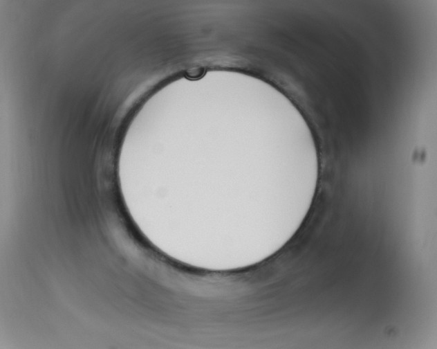 X0000113740012200910211135