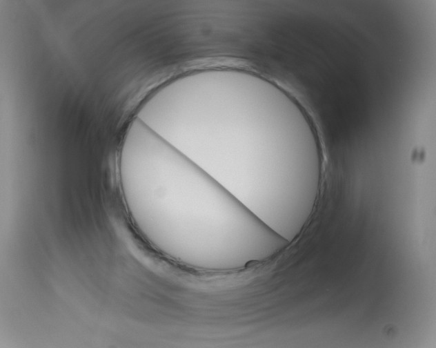 X0000113740013200910211135