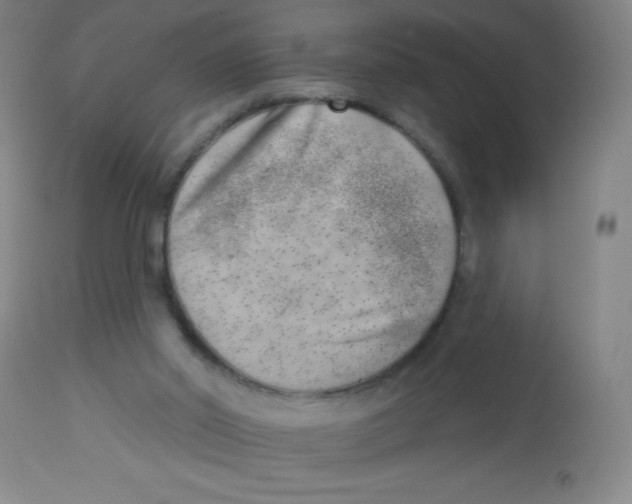 X0000113740014200910211135