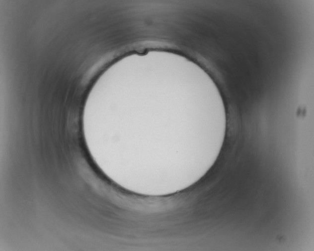 X0000113740015200910211134