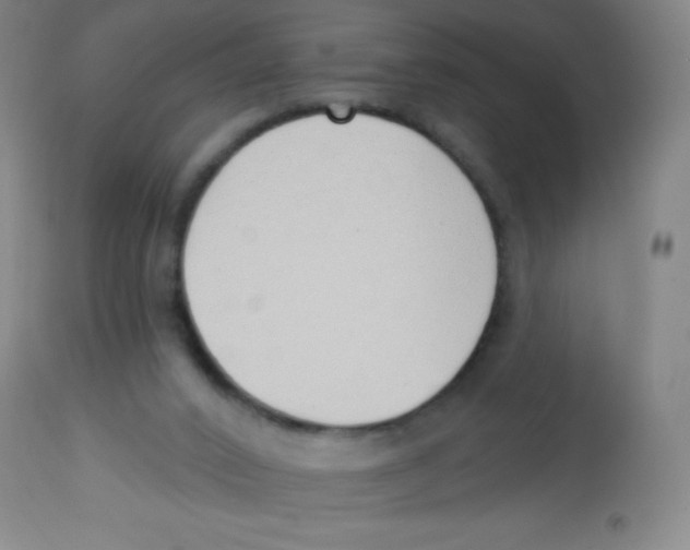 X0000113740016200910211134