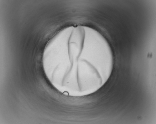X0000113740018200910211134