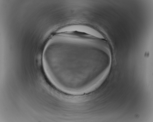 X0000113740019200910211134