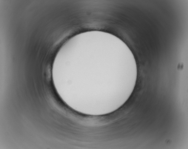X0000113740020200910211134