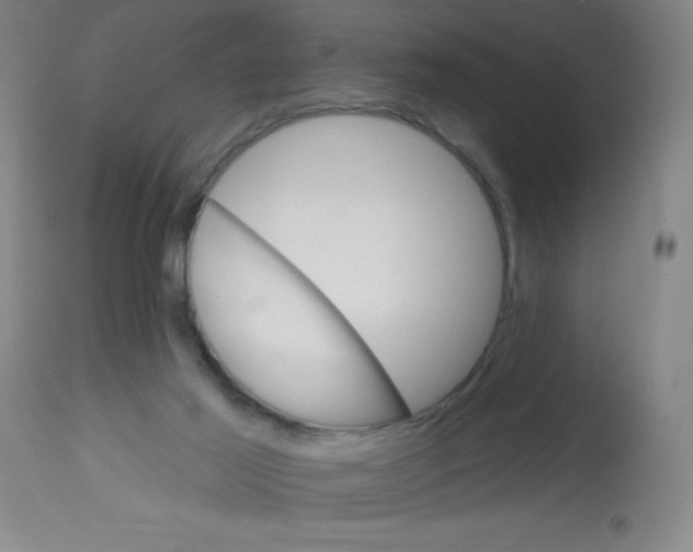 X0000113740021200910211134