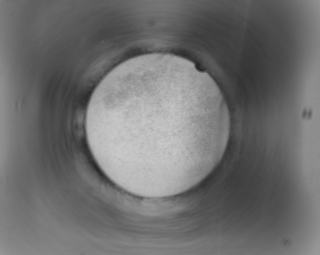 X0000113740022200910211134