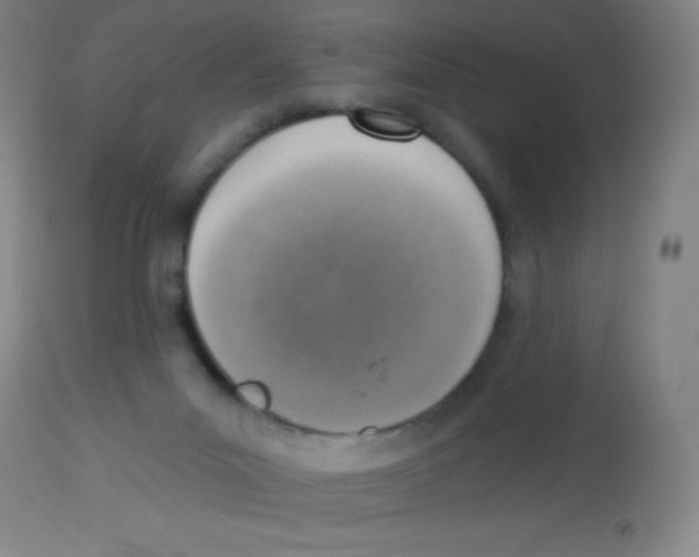 X0000113740023200910211134