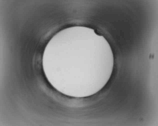X0000113740024200910211134