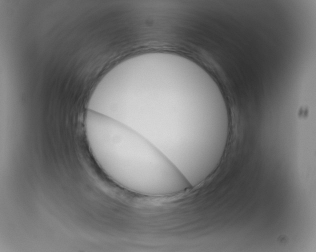 X0000113740025200910211134