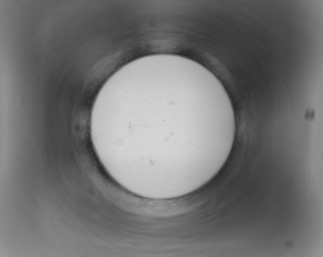 X0000113740026200910211134